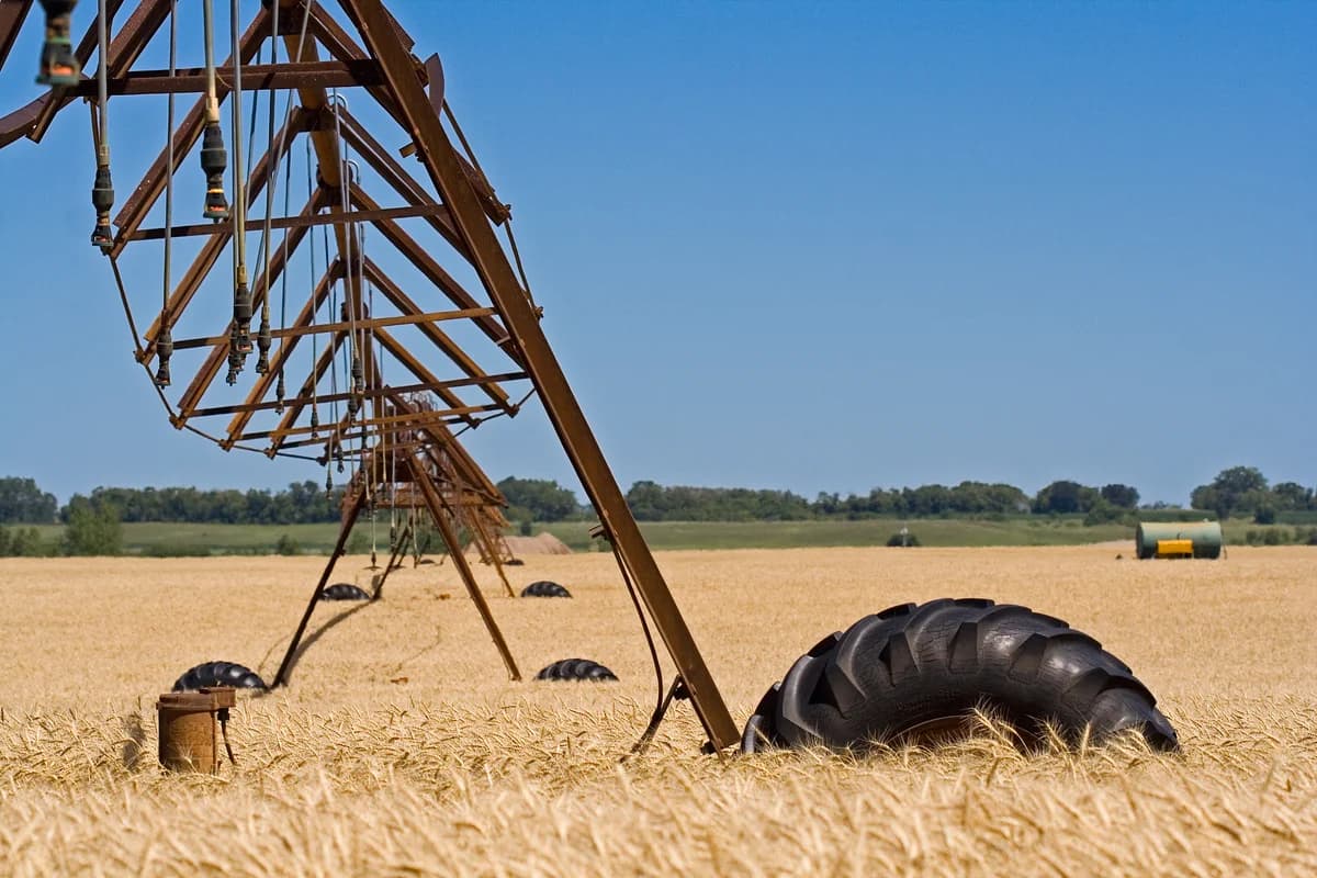 Irrigação agrícola